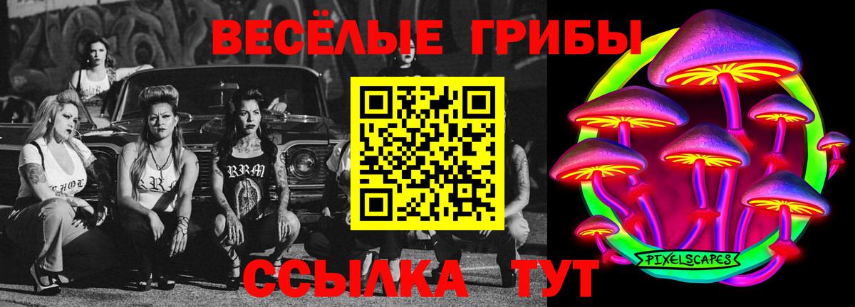 Псилоцибиновые грибы Psilocybine cubensis Десногорск